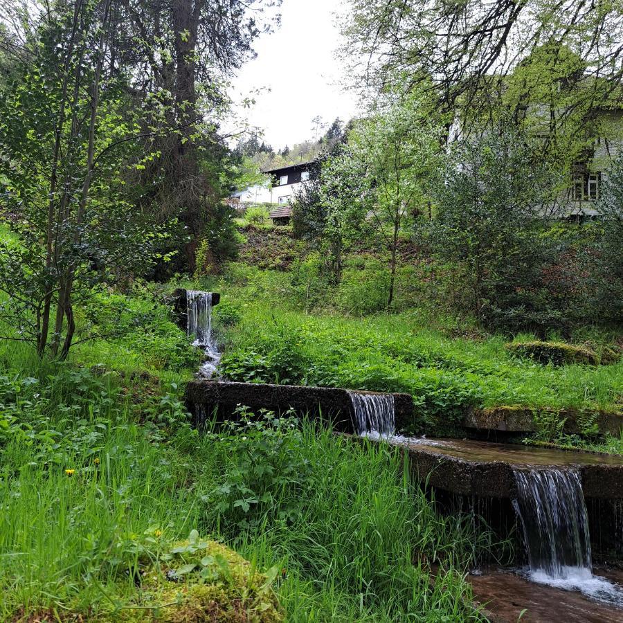 Wohn-Eitel Sonnenblick Daire Bad Wildbad Dış mekan fotoğraf
